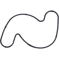 Dichtung Wasserpumpe Deckel Originalersatzteil 60035053000