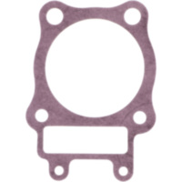 Zylinderfussdichtung Originalersatzteil 110601762