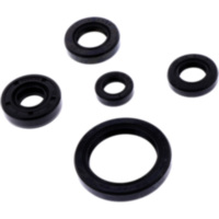Versiegelung Wellendichtring Satz Athena P400485400212