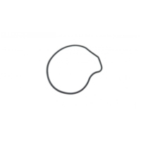 Siegel Dichtung Wasserpumpe Deckel Originalersatzteil 976553