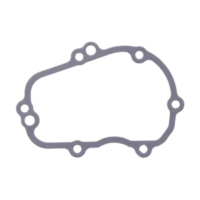 Zündungsdeckeldichtung Originalersatzteil 999863