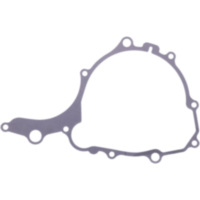 Lichtmaschinendeckeldichtung Originalersatzteil 999874