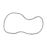 Variomatikdeckeldichtung Originalersatzteil 1013415