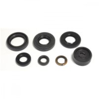 Wellendichtring Satz Athena P400485400087