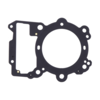 Zylinderkopfdichtung links Originalersatzteil 1033927