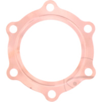 Zylinderkopfdichtung Originalersatzteil 1036280