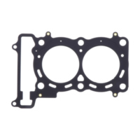 Zylinderkopfdichtung Originalersatzteil 1053912