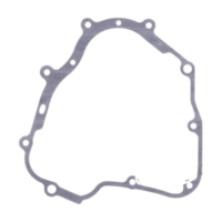 Lichtmaschinendeckeldichtung Originalersatzteil 1053916