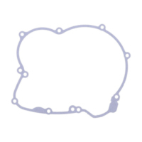 Lichtmaschinendeckeldichtung Originalersatzteil 1074200