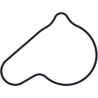 Dichtung Wasserpumpe Deckel Originalersatzteil 1109042