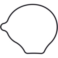 Dichtung Wasserpumpe Deckel Originalersatzteil 1109049