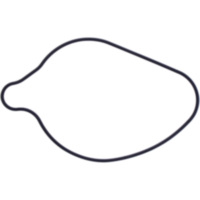 Dichtung Wasserpumpe Deckel Originalersatzteil 1109073