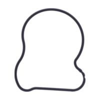 Dichtung Wasserpumpe Deckel Originalersatzteil 1109084