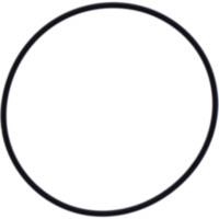 O-Ring 62X67X2 mm Originalersatzteil