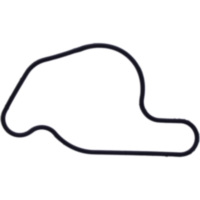 Dichtung Wasserpumpe Deckel Originalersatzteil 1109197