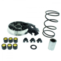 VARIOM TUNING Athena P400480110010