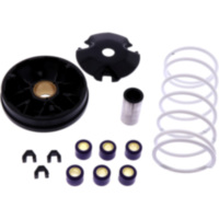 Variomatik tuning Athena P400210110022