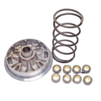 VARIOM TUNING Athena P400510110003