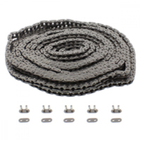 Steuerkette 215F DHA/1090