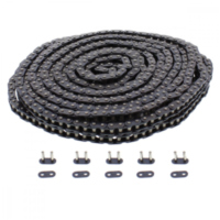 Steuerkette 219FTSS DHA/980