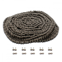 Steuerkette 25HT DHA/1200