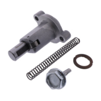 Steuerkettenspanner für: Aprilia Original 880235