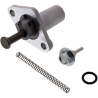 Steuerkettenspanner für: Yamaha Original 4CWE221001