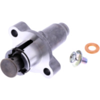 Steuerkettenspanner Originalersatzteil 1013836