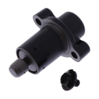 Steuerkettenspanner Originalersatzteil 1013842