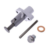 Steuerkettenspanner Originalersatzteil 1013877
