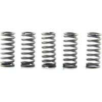 Kupplungsfedern verstärkt EBC CSK132