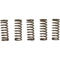 Kupplungsfedern verstärkt EBC