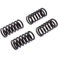 Kupplungsfedern verstärkt EBC CSK233