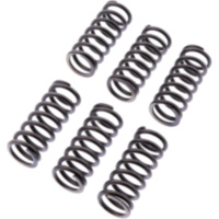 Kupplungssatz Kupplungsfedern verstärkt EBC CSK221