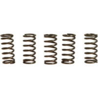 Kupplungsfedern verstärkt EBC CSK176