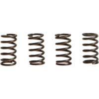 Kupplungsfedern verstärkt EBC CSK004