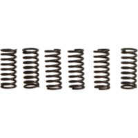 Kupplungsfedern verstärkt EBC CSK029