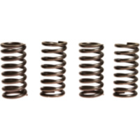 Kupplungsfedern verstärkt EBC CSK047