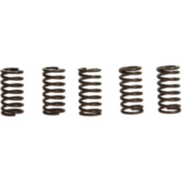 Kupplungsfedern verstärkt EBC CSK065