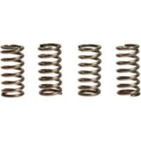 Kupplungsfedern verstärkt EBC CSK105