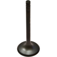 Einlassventil 68011050