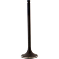 Einlassventil Stahl Prox 2814952