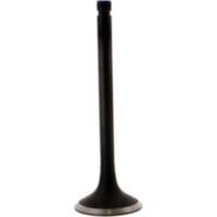 Auslassventil Stahl Prox 2824871