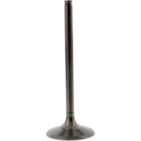 Einlassventil titan Prox 2813342