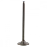 Einlassventil titan Prox 2824012