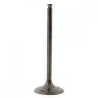 Einlassventil titan Prox 2824233