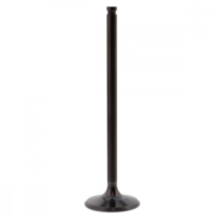 Auslassventil titan Prox 2829241