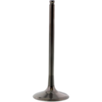 Einlassventil titan Prox 2833372