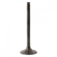 Auslassventil titan Prox 2834071