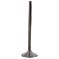 Auslassventil titan Prox 2843341